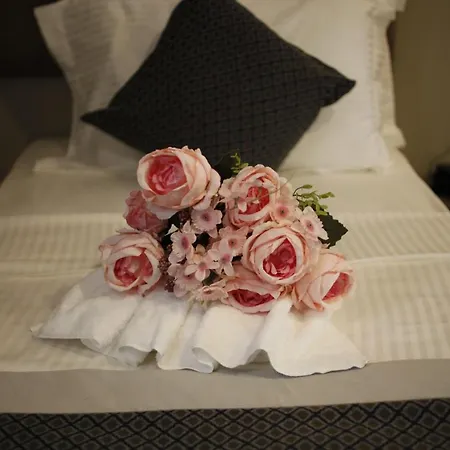 Anka Premium 3*